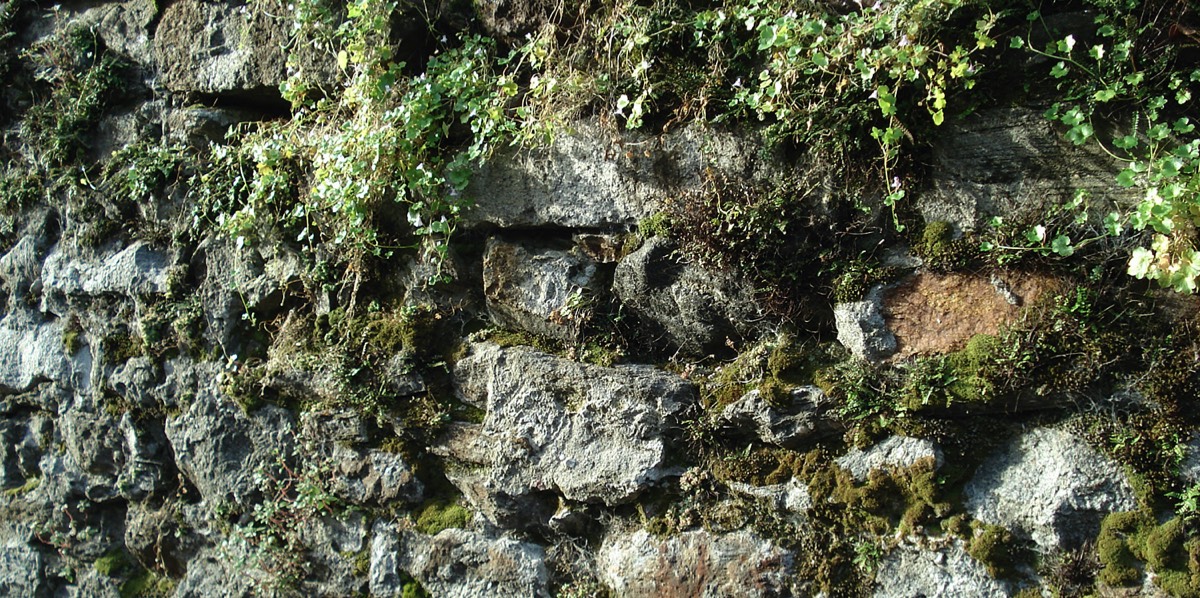 Ascona Trockensteinmauer (1)